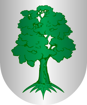 ESCUDO SIGUIENTE